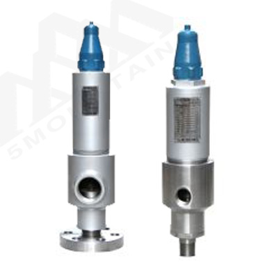 AY42H/AY802Y Safety Relief Valve Suppliers in China