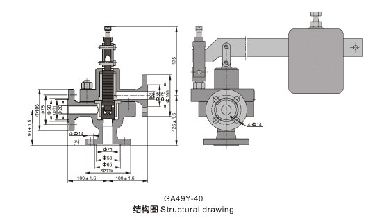 GA49H pulse safety valve
