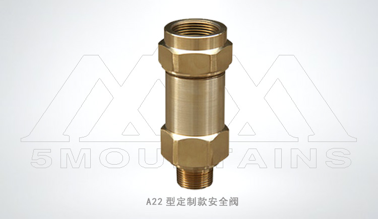 A22 type safety valve American standard safety valve customized safety valve