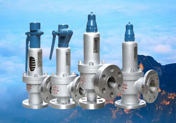 Spring-loaded Safety Valves