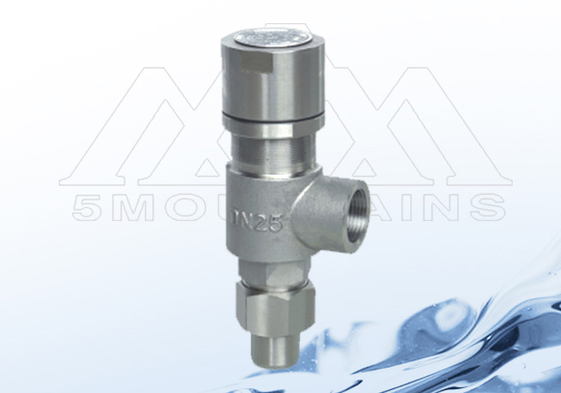 A21 threaded safety valve A21 threaded safety valve