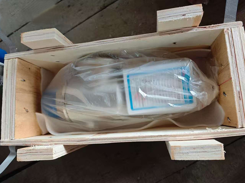 A22W-16RL Safety Valve A22W-16RL Safety Valve